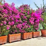 Apartamento Casa Trevi Santa Margherita Ligure