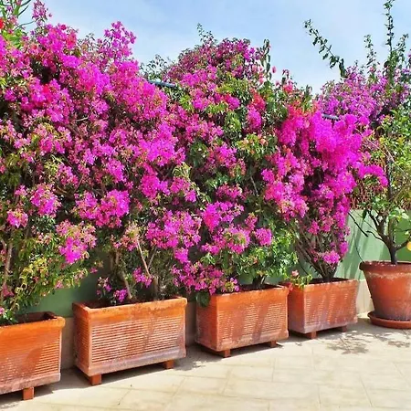 Appartement Casa Trevi Santa Margherita Ligure