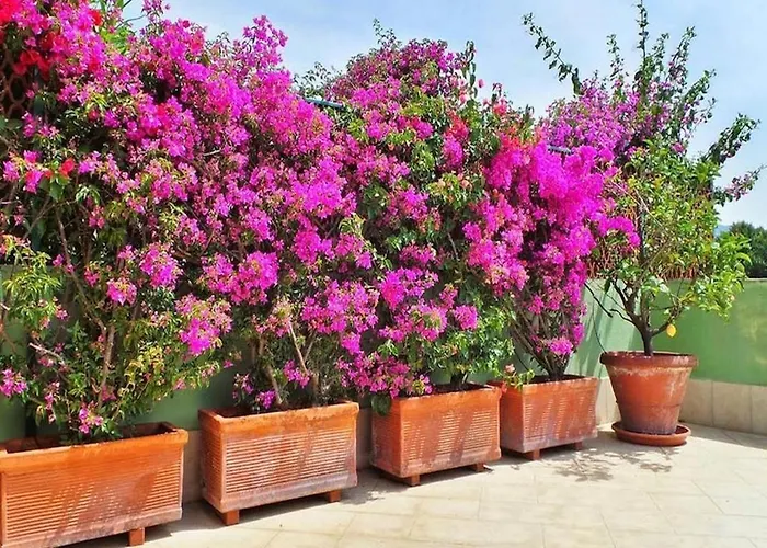 Lägenhet Casa Trevi Santa Margherita Ligure