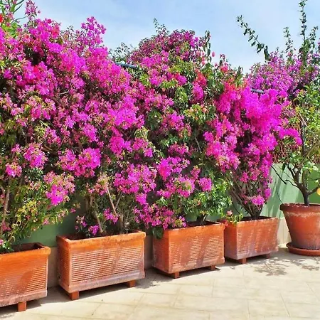 Apartament Casa Trevi Santa Margherita Ligure
